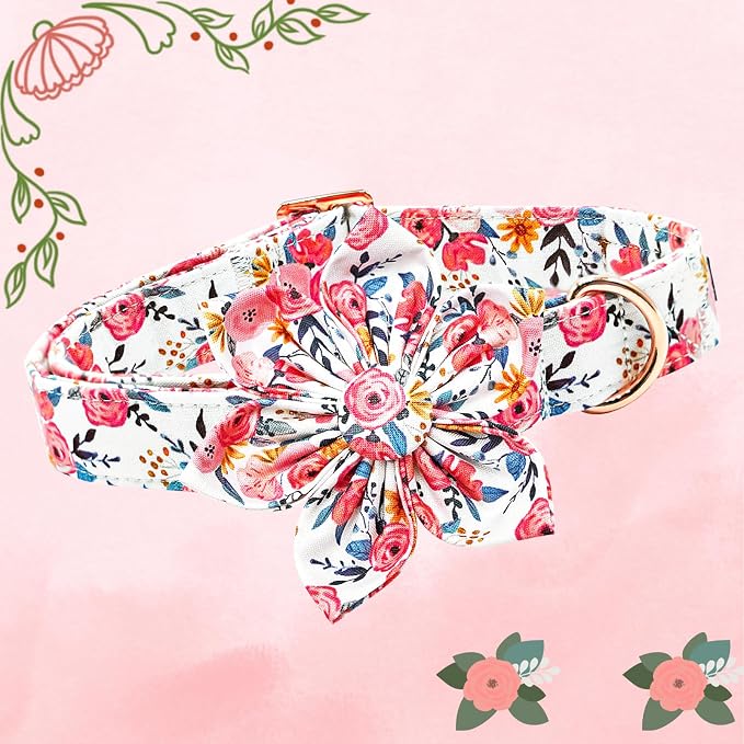Lionheart Glory Floral Dog Collar - Image 3