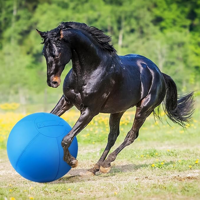 Herding Ball for Dogs and Horses - Image 8