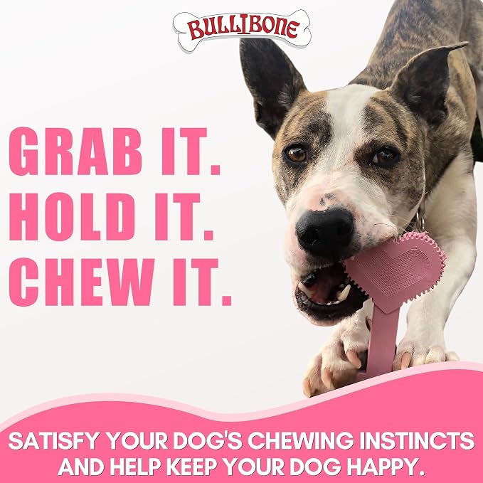 Bullibone Nylon Dog Chew Toy for Aggressive Chewers - Image 7