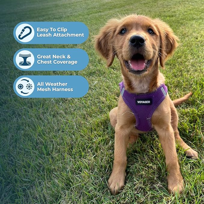 Best Pet Supplies Voyager Step-in Air Harness - Image 3
