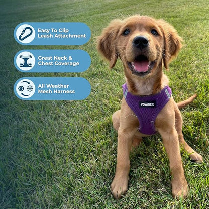 Best Pet Supplies Voyager Step-in Air Harness - Image 3
