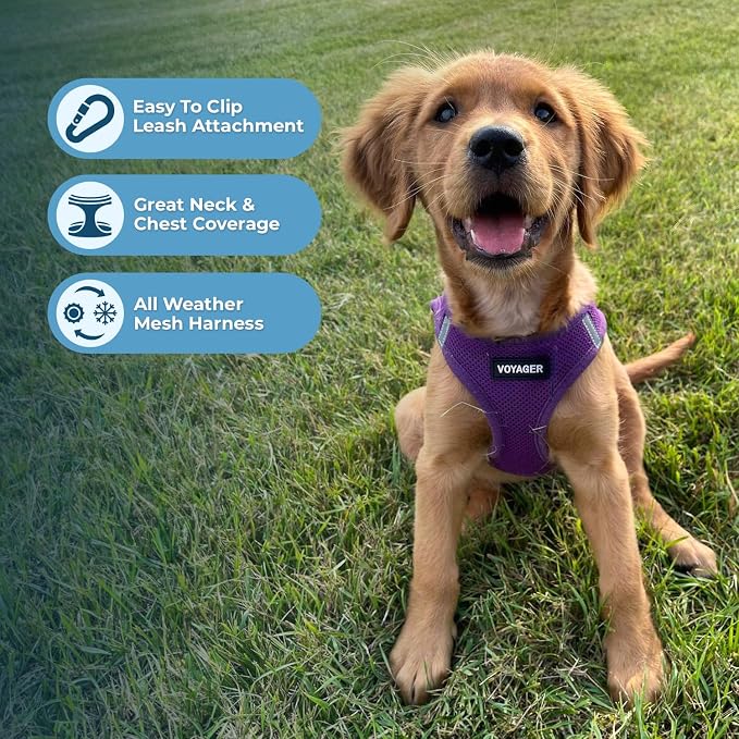Best Pet Supplies Voyager Step-in Air Harness - Image 3