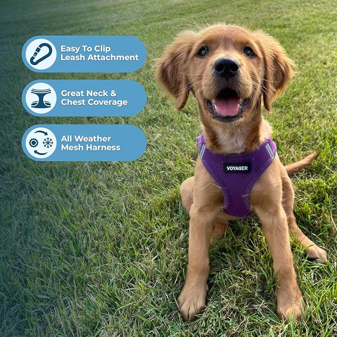 Best Pet Supplies Voyager Step-in Air Harness - Image 3