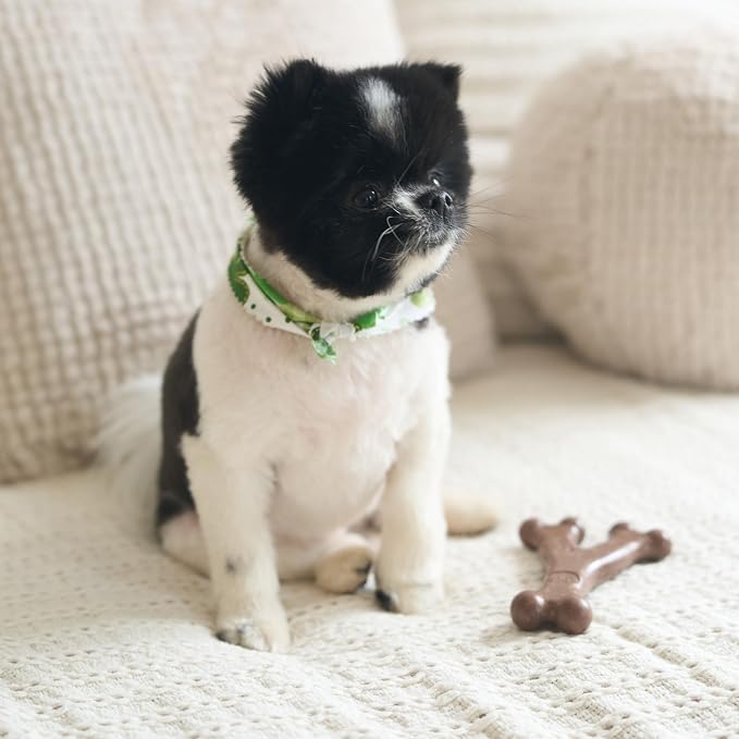 SPOT Bam-Bones Wishbone - Image 11