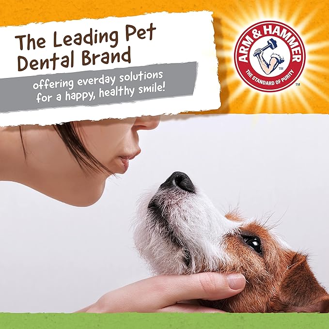 Arm & Hammer for Pets Nubbies Dental Toys T-Rex Dental Chew Toy for Dogs Best - Image 6