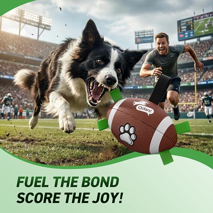 QDAN Dog Soccer Ball Football Set - Image 2