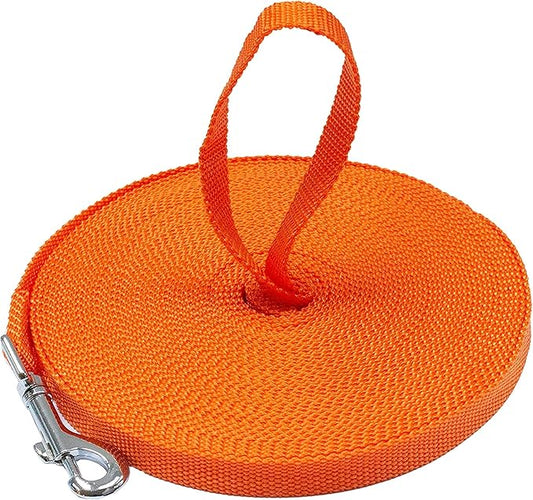 Long Dog Puppy Obedience Recall Training Agility Lead, Leash by DowntownPetSupply