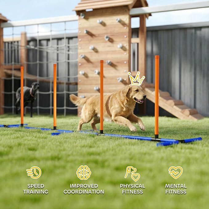 PawHut Adjustable Dog Agility Training Equipment, Dog Agility Course Backyard - Image 6
