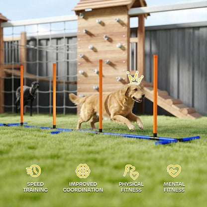 PawHut Adjustable Dog Agility Training Equipment, Dog Agility Course Backyard - Image 6