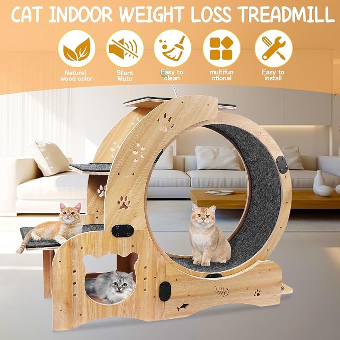 Cat Running Wheel, Cat Treadmill - Image 2