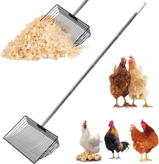 Chicken Poop Scooper & Rake 2-in-1, 304 Stainless Steel Shovel Head, Chicken by Unknown