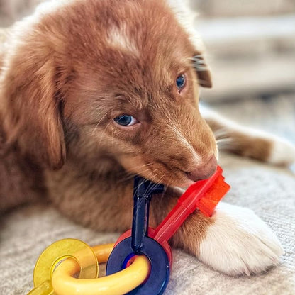 Nylabone Puppy Chew Key Ring Toy, Toys - Image 2