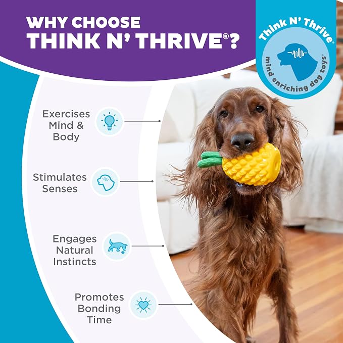 Outward Hound Dental Pineapple Dog Toy & Treat Stuffer, 6.8″ x 3.3″ - Image 6