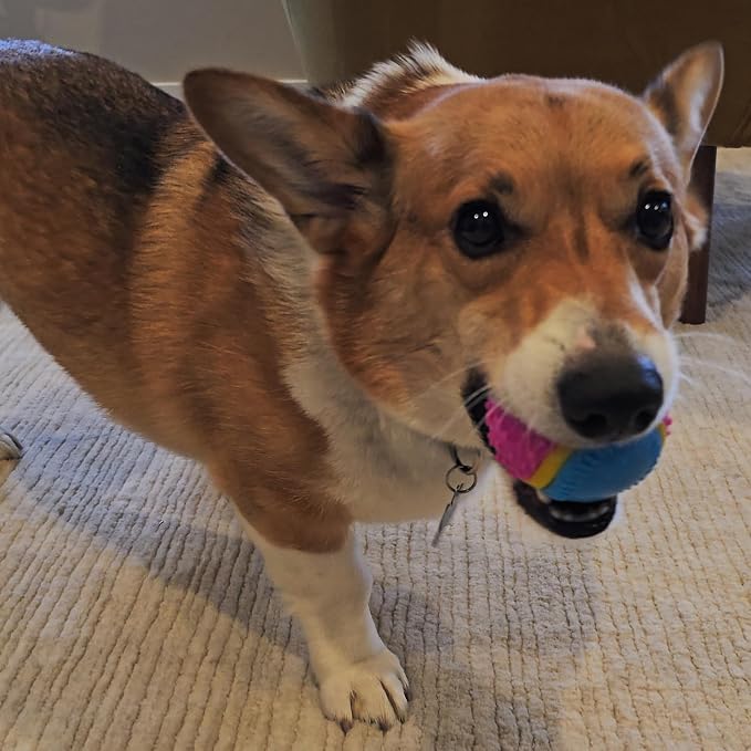 SPOT Sensory Ball for Soft Chewers - Image 18