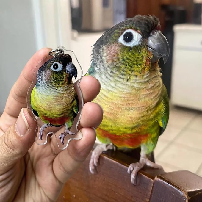 Custom Acrylic pet Keychain - Image 4