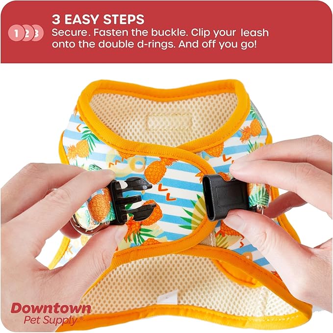 Downtown Pet Supply Step-in Dog Harness – No Pull, Adjustable Padded Mesh - Image 5