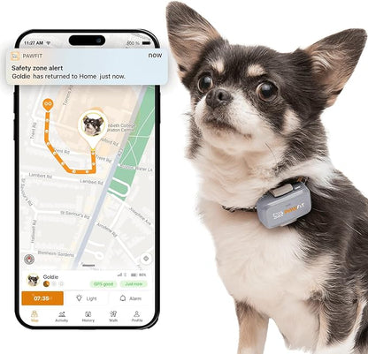 Pawfit Lite for Small Dogs 4g GPS Tracker | Real Time Tracking | Activity by Pawfit