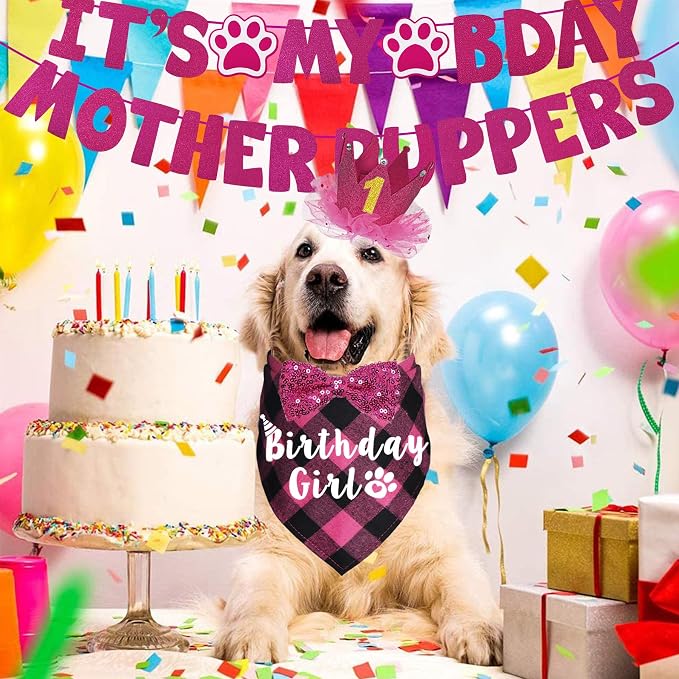 Dog Birthday Decorations - Image 2