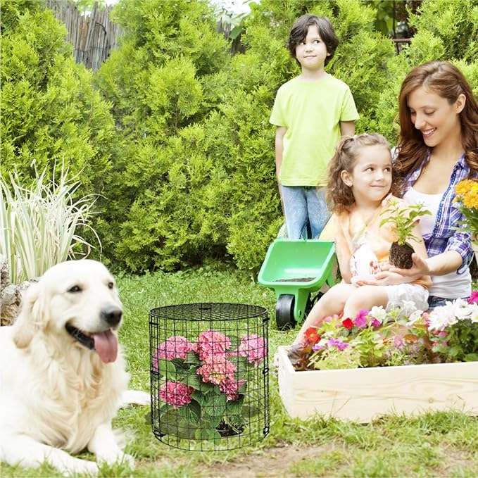 5 Packs Garden Plant Protectors from Animals, Metal Plant Cage Chicken Wire - Image 6