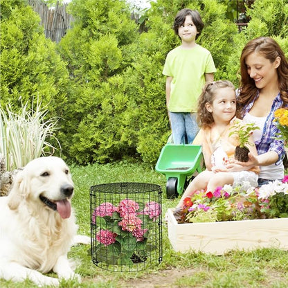 5 Packs Garden Plant Protectors from Animals, Metal Plant Cage Chicken Wire - Image 6
