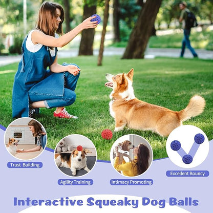 HIPPIH Indestructible Squeaky Dog Toys, Interactive Dog Balls 2 Pack, Chew Toys - Image 6