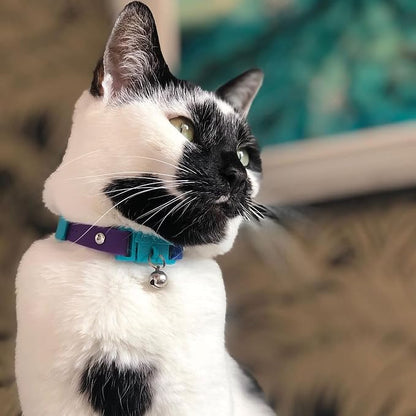 Kittyrama Monte Carlo Cat Collar - Image 4