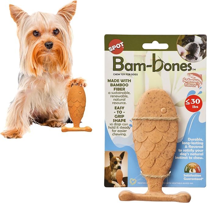 SPOT Bam-Bones Fish by SPOT