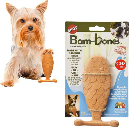 SPOT Bam-Bones Fish by SPOT