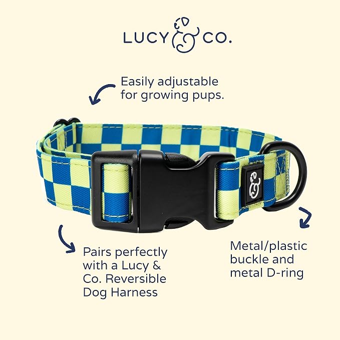 Lucy & Co. Have a Nice Day Dog Collar - Image 2