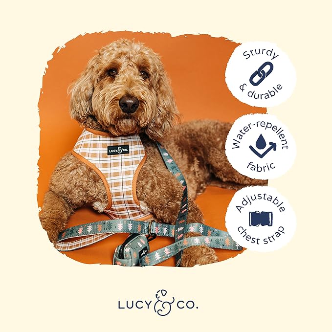 Lucy & Co. Take a Hike Reversible Dog Harness - Image 6
