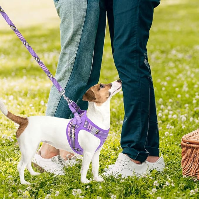 PUPTECK Adjustable Dog Harness Collar and Leash Set Step in No Pull Pet Harness - Image 6