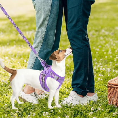 PUPTECK Adjustable Dog Harness Collar and Leash Set Step in No Pull Pet Harness - Image 7