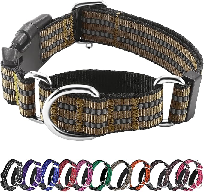 Hikiko Martingale Dog Collars Reflective Nylon Dog Collar by Hikiko