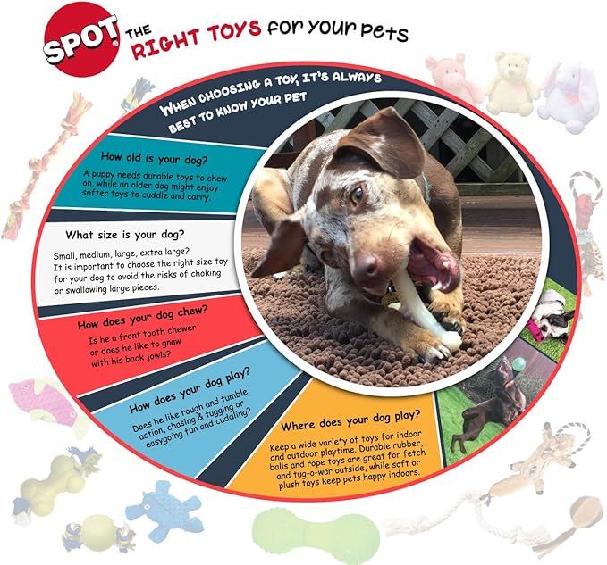 SPOT Play Strong Bone- Durable TPR Long Lasting Dog Chew - Image 14