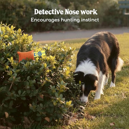 Race&Herd Original Dog Scent Training Kit, Scent Work Training Kit - Image 5