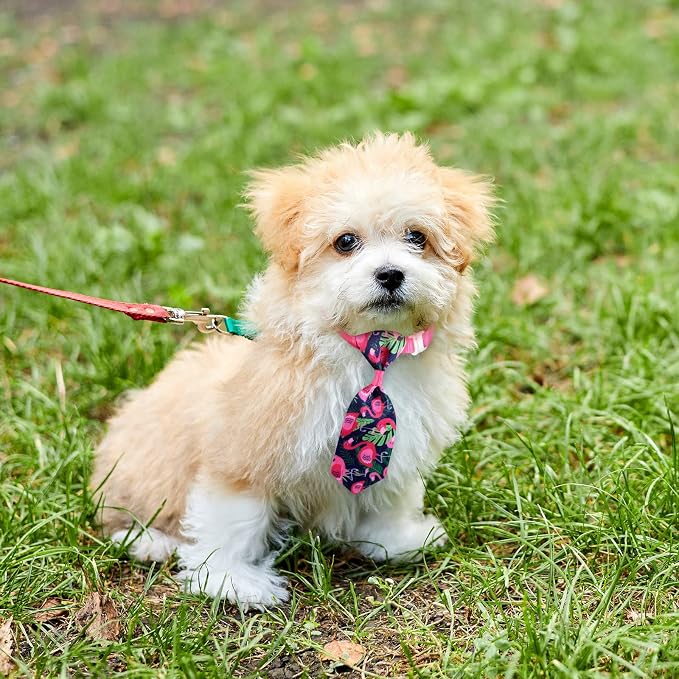Reginary 100 Pieces Dog Bow Tie Collar Set Include 40 Dog Neckties, and 30 - Image 5