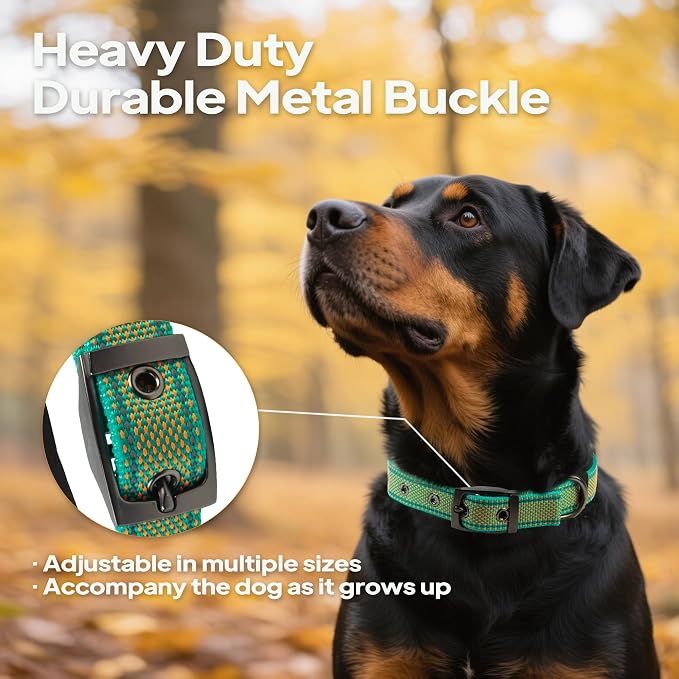PetiFine Dog Collars for Small Dogs, Neoprene Padded and Adjustable, Reflective - Image 3