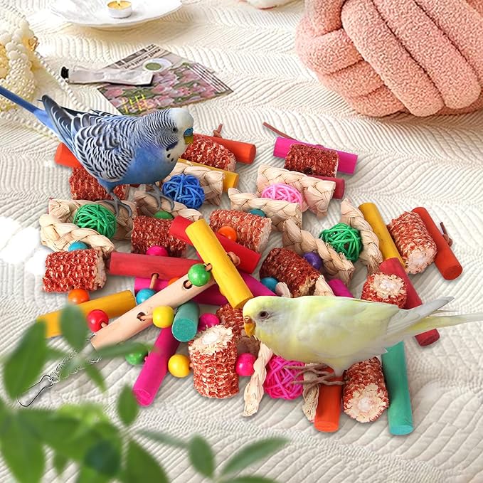 Kyouki Parrots Toys for Cockatiels, Parrotlets, Meyer's & Other Small/Medium - Image 7