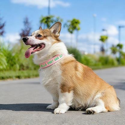 DOG WORLD Custom Fluorescent Dog Collar - Image 7