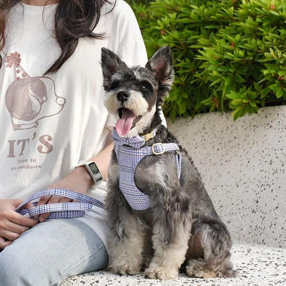 Beirui Cute Extra Small Dog Harness Collar and Leash Set - Image 3