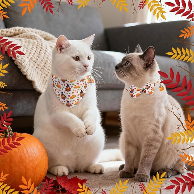 SCENEREAL Fall Thanksgiving Cat Bandana Collar - Image 2