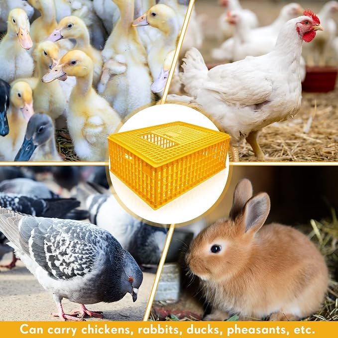 Sintuff Poultry Carrier Crate Plastic Chicken Transport Cage Bird Carriers - Image 5