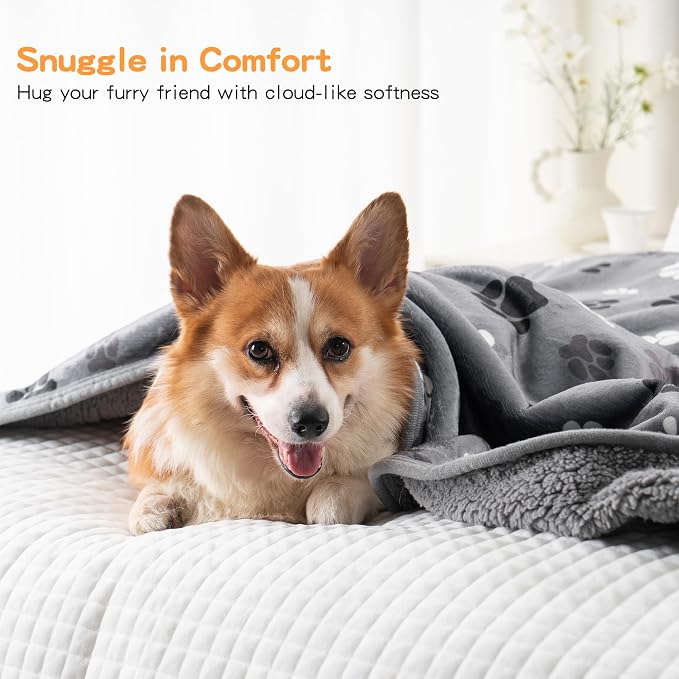 Waterproof Dog Blankets Pet Blanket 60"x80", Soft Fluffy Sofa Car Bed Protector - Image 5