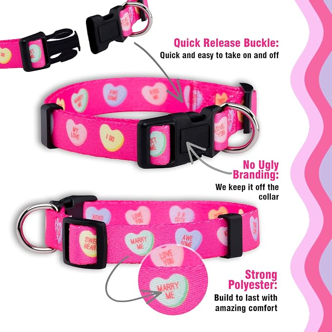 Native Pup Valentine’s Dog Collar- Valentines Day Pet Collars- Valentine Girly - Image 4