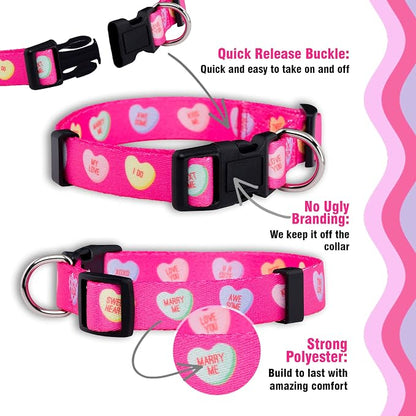 Native Pup Valentine’s Dog Collar- Valentines Day Pet Collars- Valentine Girly - Image 4