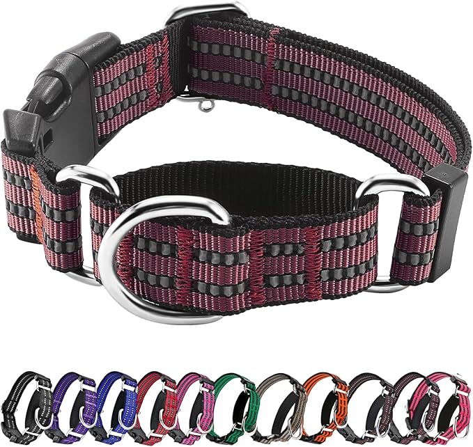 Hikiko Martingale Dog Collars Reflective Nylon Dog Collar by Hikiko