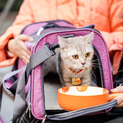 Mr. Pen- Pet Carrier, Soft-Sided Cat & Dog Carrier, Bag - Image 7