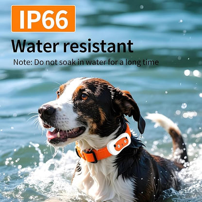 Smart Dog GPS Tracker, Live Pet Tracker - Image 5