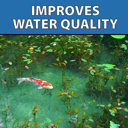 CrystalClear MuckOff, Natural Pond Muck Treatment, Water Garden, Fountain & - Image 9