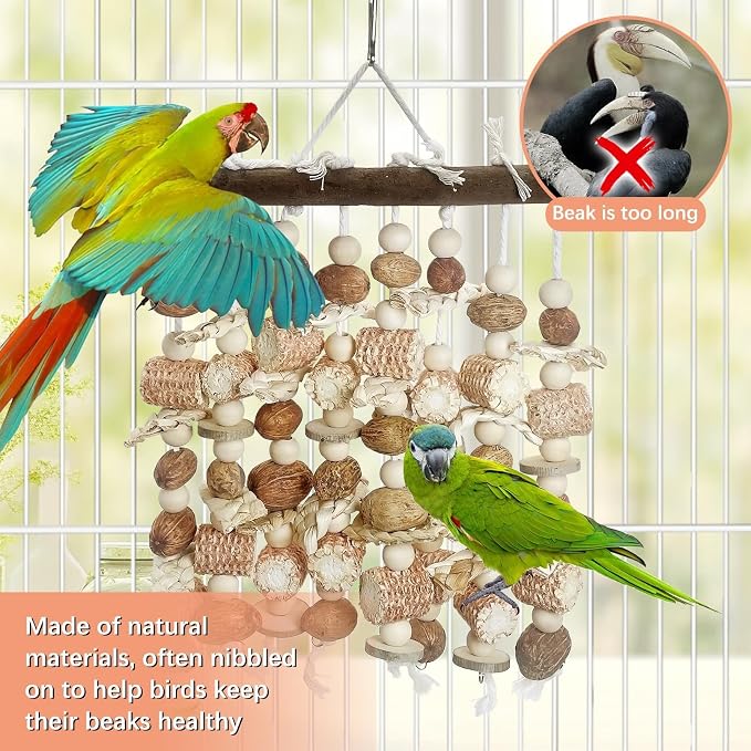 PINVNBY Large Parrot Toys Natural Nuts Corn Cob Wooden Chewing Tearing Toy - Image 5